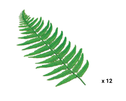Hojas de helecho decorativas para mostrador vitrina carnicería charcutería pack 10 unidades ref X-2515
