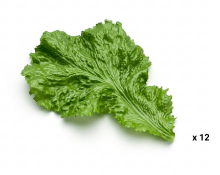 Hoja de lechuga decorativas para mostrador vitrina carnicería charcutería pack 12 unidades ref X-2530